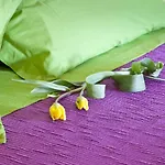 Farm stay Bio Montemenardo Todi