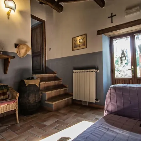 Bio Montemenardo * 토티