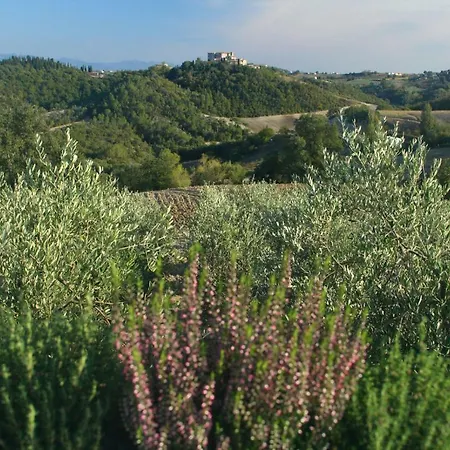 Bio Montemenardo Todi
