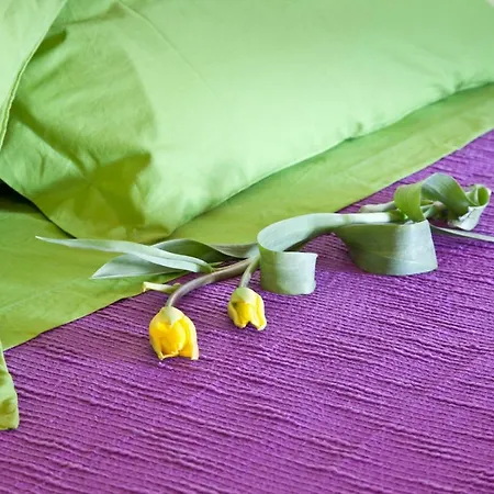 Farma Bio Montemenardo Todi