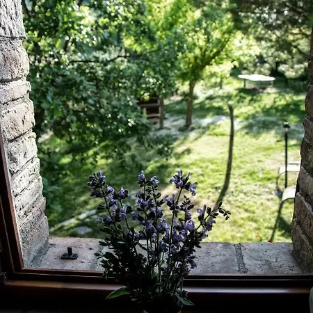 Bio Montemenardo Gospodarstwo agroturystyczne