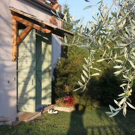 Bio Montemenardo Gospodarstwo agroturystyczne Todi