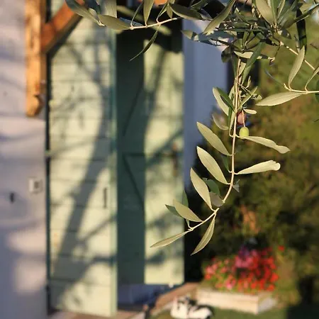 Bio Montemenardo 토티